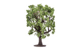 Oak Tree - 16cm